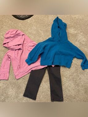 Hanna Andersson toddler girl bundle 3T